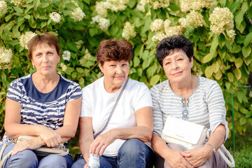 Mature Female Friends Socializing In Backyard Together.