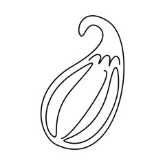 chili peppers hot vegetables on fire line style icon