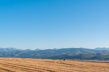 Fototapeta premium Dry hay field with a clear cut path warm color bulgaria rural landscape sun day clear blue sky