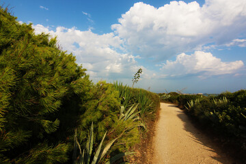 Panorama con macchia mediterranea e piante di agave lungo un sentiero; in lontananza il mare di fine estate sotto un cielo azzurro con nuvole bianche