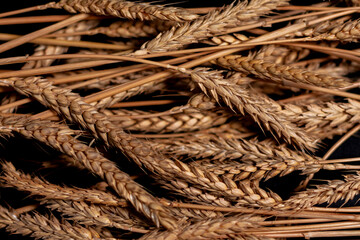 The screen shows a close-up of a bundle of grain ears. Golden harvest.