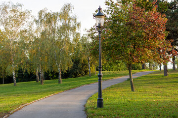 Autumn landscape. The autumn tree leaves with a pathway in the public park.