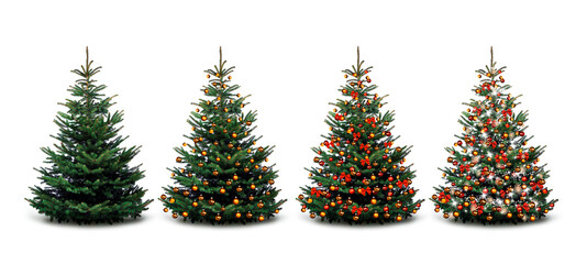 Vier Weihnachtsbäume - ungeschmückt und geschmückt
