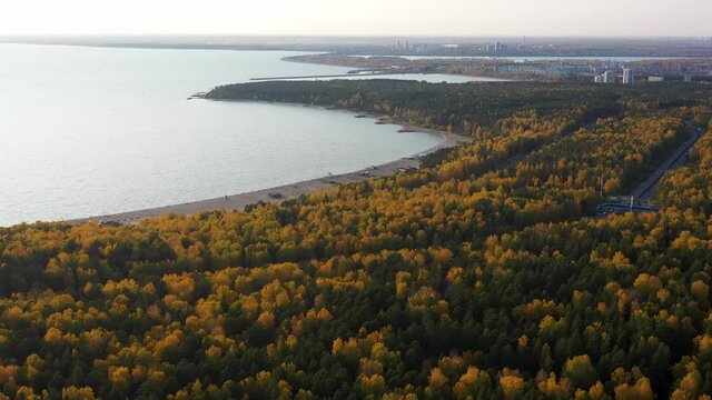 The drone is flying over the autumn forest. the wind moves the crowns of trees