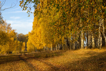 Fototapeta na wymiar autumn road near the lake