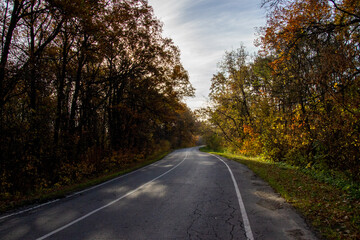 Fototapeta na wymiar road in autumn forest