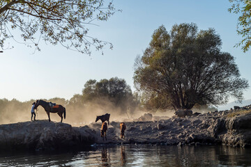 Fototapete bei efototapeten.de bestellen   