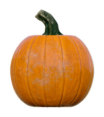 Illustration of an uncarved normal pumpkin on white background