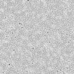 Black and White Seamless Web Like Lined Pattern