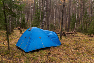 A blue tourist tent stands in a clearing among the autumn forest. Tourism, active lifestyle.