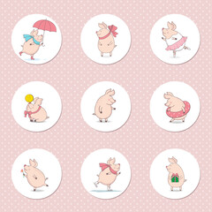 Set of round icons with little cute pig in different poses isolated on white background. Funny cartoon character
