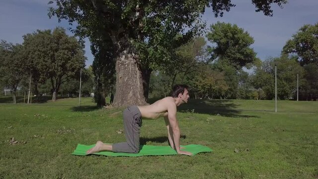 Beautiful yoga instructor is doing yoga exercises in nature stretching body on floor concentrated on practice