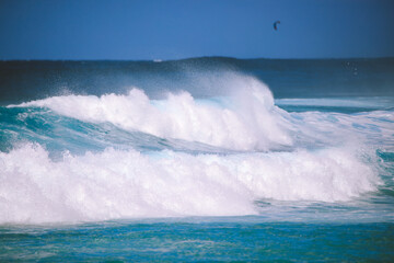 Fototapeta premium Waves surfing Banzai Pipeline, North shore, Oahu, Hawaii