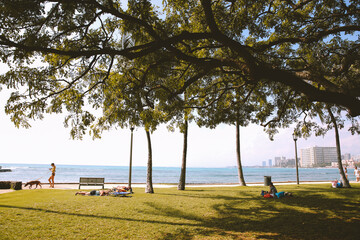 Sans Souci State Recreational Park, Honolulu, Oahu, Hawaii