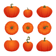Set of ripe orange pumpkins of various shapes isolated on a white background. Halloween or Thanksgiving icon, decoration. Vector illustration.