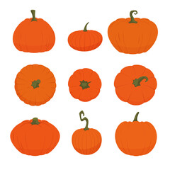 Set of ripe orange pumpkins of various shapes isolated on a white background. Halloween or Thanksgiving icon, decoration. Vector illustration.