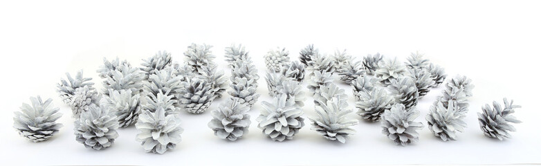 White painted pine cones isolated on white background. Christmas or winter decoration natural cones.