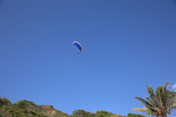 Paragliding at Diamond Head Beach Park, Oahu, Hawaii
