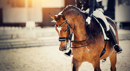 Equestrian sport. The leg of the rider in the stirrup, riding on a red horse.