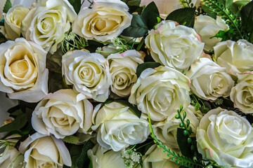 Flower, Rose - Flower, Backgrounds, Wedding