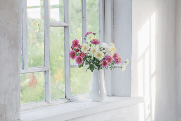 Fototapeta premium chrysanthemums in vase on windowsill in autumn