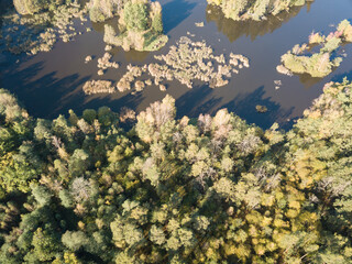 Aerial view of the lake in calm weather in the autumn at sunrise. View from air. Pond, orange grass, trees at dawn. Colorful aerial landscape at sunset in fall. Top view
Nature background concept