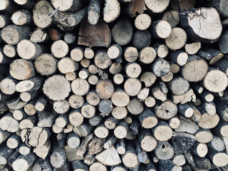 stack of firewood. pile of wood