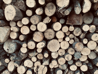 stack of firewood. pile of firewood