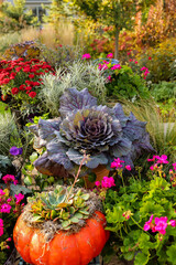 Colorful ornamental kales are the focal point of this fall garden scape in a Midwest garden...