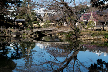 Fototapeta na wymiar Japanese pond