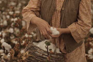 family collects cotton