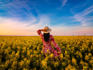 Back view young women with long hair and hat on head standing with open arms in field full of yellow flowers - obrazy, fototapety, plakaty