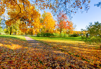 Autumn foliage in Catherine park, Pushkin (Tsarskoe Selo), Saint Petersburg, Russia