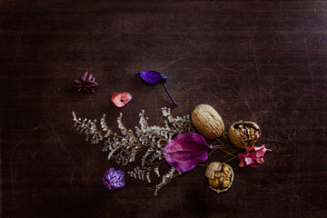 fall beautiful and vibrant colors with foliage purple dried leaves and cracked wallnuts on a dark...