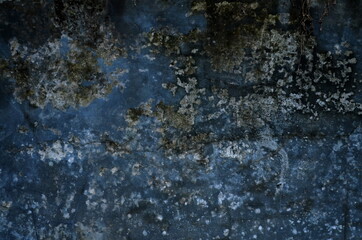 Old grey wall, grunge concrete background with natural cement texture. nice for background.