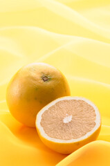 スタールビーグレープフルーツ