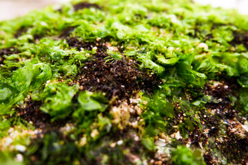 moss on the stone