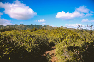 Hawaii Loa Ridge Trail, Oahu, Hawaii