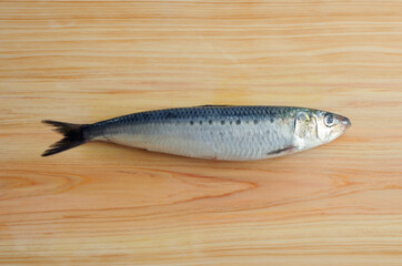 まな板の上の鰯
