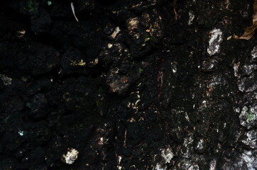 clear and beautiful looking wood grain pattern