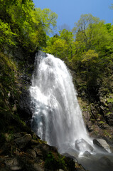 Fototapeta premium 小野川不動滝