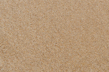 Fototapeta na wymiar Golden baltic beach sand background texture pattern