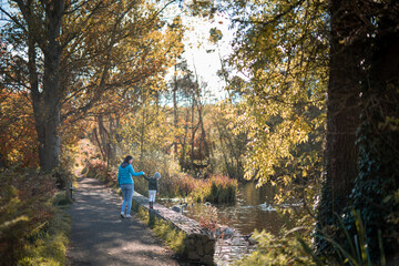 Landscape walk at the pond