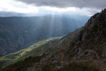 Rays of light 