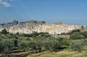 Fototapeta na wymiar View of the town of Ferrandina, in the foreground trees of olives Majatica, district of Matera, Basilicata, Italy, Europe