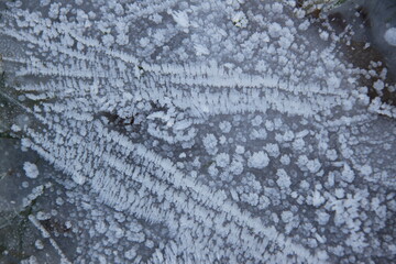 Beautiful ice pattern on a frozen ditch	
Verzonden