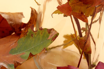 colored dry autumn leaves on the background