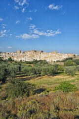 View of the town of Ferrandina, in the foreground trees of olives Majatica, district of Matera, Basilicata, Italy, Europe