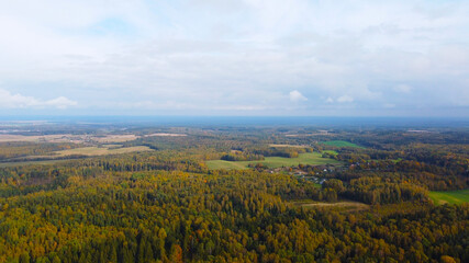 Aerial view of the autumn European forest with yellow and green trees