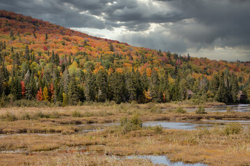 Fall scene in cottage country, Quebec, Canada.